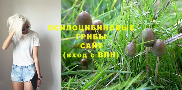 spice Осинники