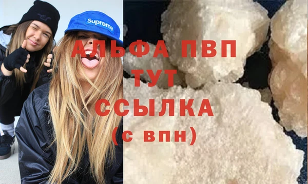 spice Осинники