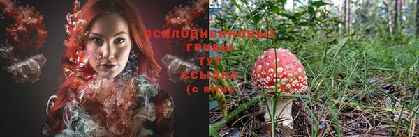 spice Осинники