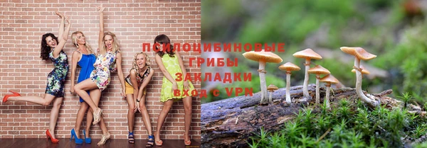 spice Осинники