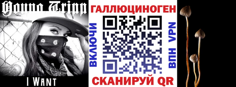 Псилоцибиновые грибы MAGIC MUSHROOMS  Купить  Соликамск 